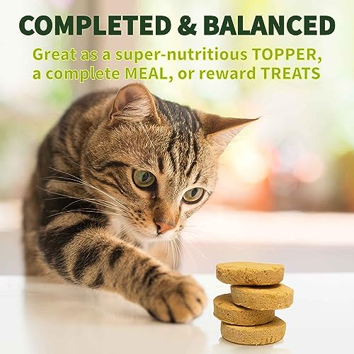  FURRY WONDER Freeze Dried Raw Cat Food Grain Free Mighty Nuggets For Cats 16oz Chicken Rabbit Recipe High Protein Dinner Patties For All Breeds And Life Stages