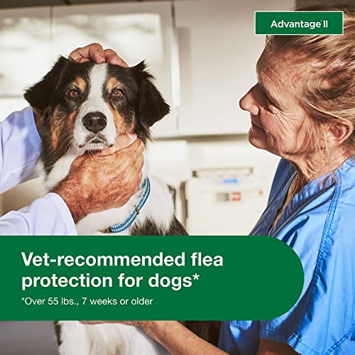  Advantage II XL Dog Vet-Recommended Flea Treatment & Prevention | Dogs Over 55 Lbs. | 4-Month Supply