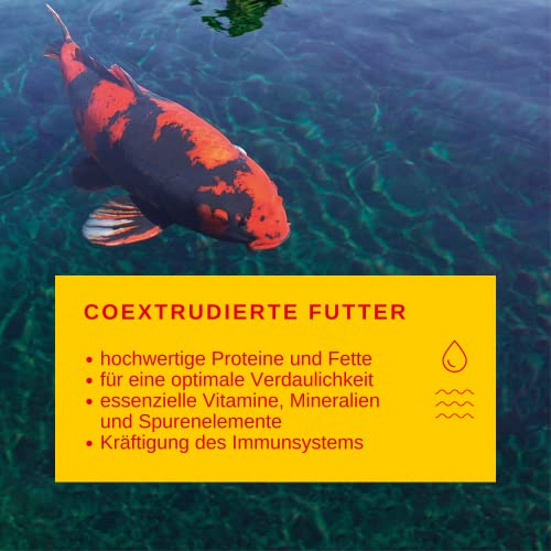  Sera 7018 KOI Professional Summer 15.4 Lb 7 Kg Pet Food, One Size