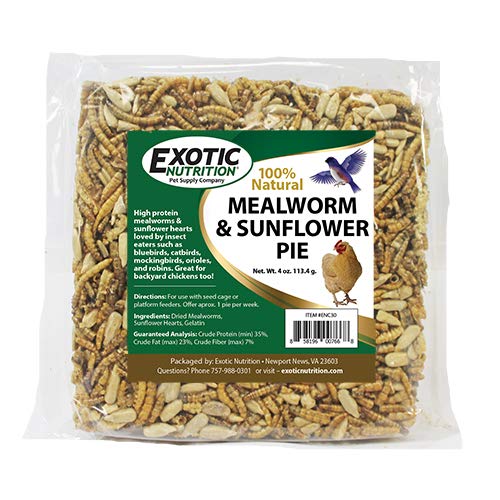  Exotic Nutrition Mealworm & Sunflower Pie - Healthy Natural Suet Basket Feeder Treat - For Backyard Chickens And Wild Birds