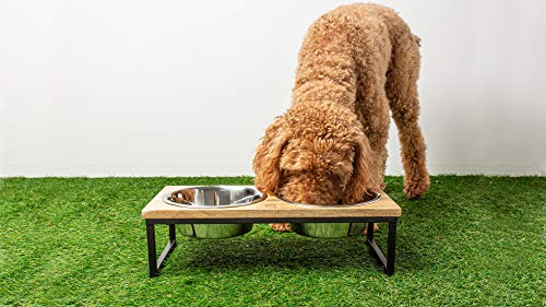  Brave Bark Wood & Metal Feeder - Premium Mango Wood Feeder With Metal Stand, 2 Stainless Steel Bowls For Food Or Water Included, Perfect For Dogs,Cats And Pets Of Any Size, For Home Or Office (Medium)