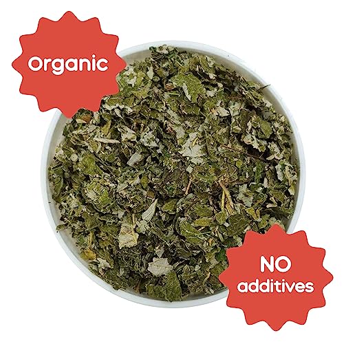  GuineaDad Organic Guinea Pig Herbal Treats - Guinea Pig Food With Convenient Packaging - Raspberry Leaf Flavor - 2-oz - Guinea Pig Treats Help With Bonding - High In Nutrition And Fiber - Large