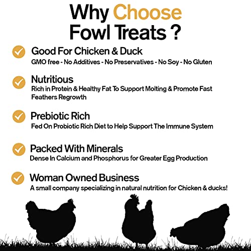  Fowl Treats Naturally Fortified Treats – Protein Rich Supplement Suitable For Chickens, Hens And Ducks, Hand Mixed With USA Grown Ingredients – Solstice Blend – 32oz