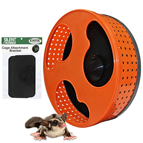  Silent Runner 12" With Autoclean | Sugar Glider Wheel
