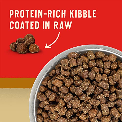  Stella & Chewy's Wild Red Dry Dog Food Raw Coated High Protein Wholesome Grains Prairie Recipe, 3.5 Lb. Bag