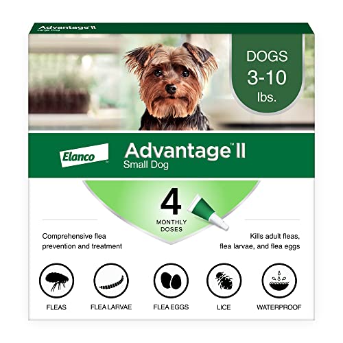  Advantage II Small Dog Vet-Recommended Flea Treatment & Prevention | Dogs 3-10 Lbs. | 4-Month Supply