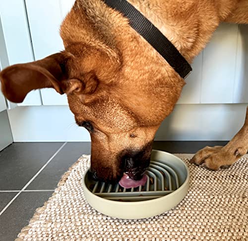  Slow Feeder Dog Bowl: The Slowdown Bowl Is A Modern, Silicone Puzzle Bowl & Lick Mat. Slow Eating, Stop Gulping, Take It Easy. Dishwasher Safe. (Sage)