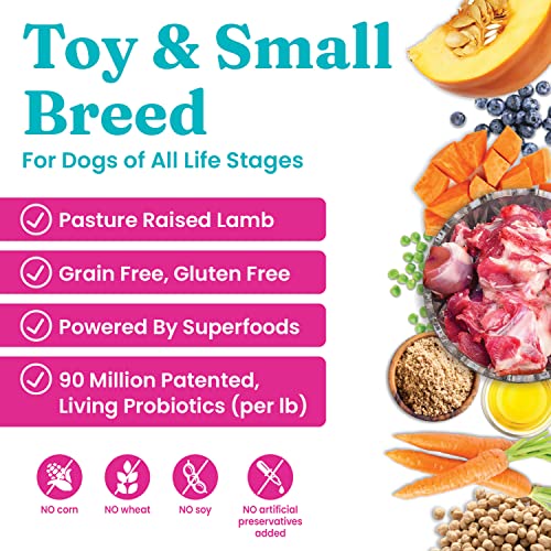  Solid Gold Mighty Mini Small Breed Dog Food - Dry Dog Food For Any Toy Breed - For Gut Health & Sensitive Stomach Support - Digestive Probiotics For Dogs - Grain & Gluten Free Recipe
