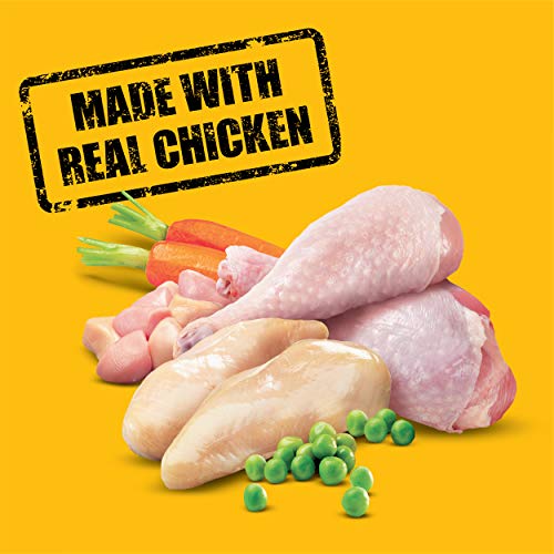  Pedigree High Protein Adult Dry Dog Food Chicken And Turkey Flavor Dog Kibble, 18 Lb. Bag