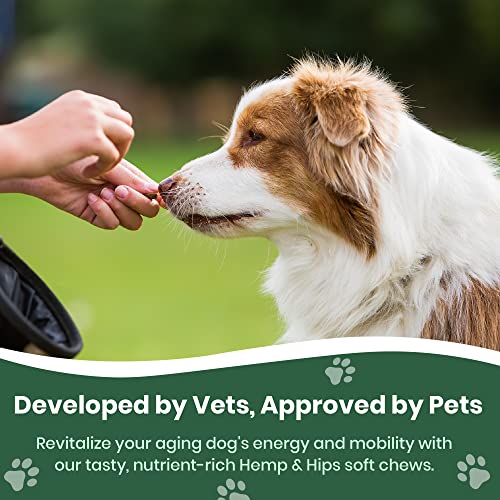  Veterinary Naturals Hemp & Hips Joint Supplement For Dogs - 60 Soft Chews For Dog Hip And Joint Supplement With Glucosamine For Dogs, MSM, & Turmeric (Rotisserie Chicken)