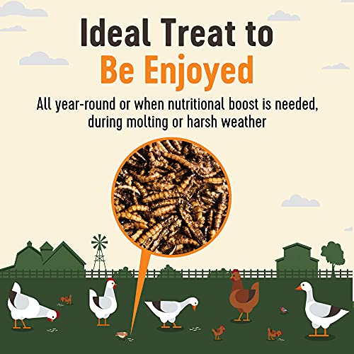  Supreme Grubs Natural Black Soldier Fly Larvae For Chickens, 85X More Calcium Than Mealworms-High Protein Grub Food Chicken Treats For Hens, Probiotic-Rich Chicken Feed, Calcium-Dense Bird Treat 5lb