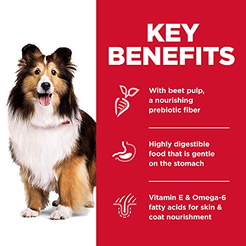  Hill's Science Diet Dry Dog Food, Adult, Sensitive Stomach & Skin, Chicken Recipe, 15.5 Lb. Bag