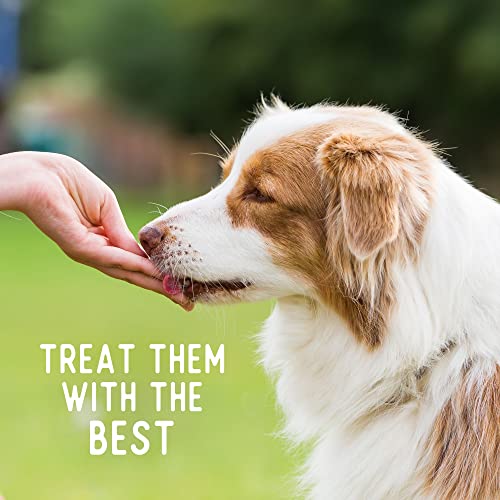  Beg & Barker Chicken Chips For Dogs (8oz, Pack Of 1) - Single Ingredient Dog Treats Made For Small And Large Dogs Protein Human Grade Dog Treats Made From Real Meat Chicken, Made In USA