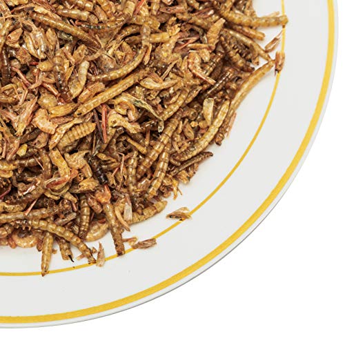  Appetizing Mealworms With Dried River Shrimp (8oz) All Natural 100% Non-GMO,Surf & Turf, Chicken, Fish, Ducks, Wild Birds, Turtles, Hamsters, Fish, And Hedgehogs