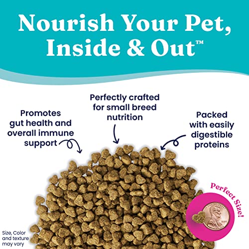  Solid Gold Mighty Mini Small Breed Dog Food - Dry Dog Food For Any Toy Breed - For Gut Health & Sensitive Stomach Support - Digestive Probiotics For Dogs - Grain & Gluten Free Recipe