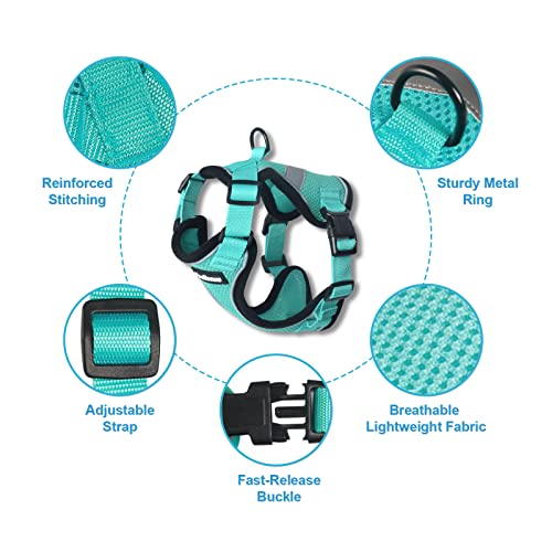  PetBonus Adjustable Cat Harness-Escape Proof Breathable Pet Vest Harnesses For Walking And Leash & 2-Pack Silicone Pet Can Lids