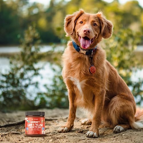  Visionary Pet Foods - Real Lamb Meat Spread For Dogs | Healthier Choice To Peanut Butter | Easy Use As Dog Lick Mat Treat, Chew Toy Filler, Meal Mixers Or Pill Pockets - 10 Fl. Oz Jar