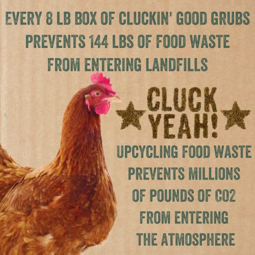  Scratch And Peck Feeds Cluckin’ Good Grubs For Chickens - Sustainably Grown In North America - Natural High Protein, Calcium Dense - Dried Black Soldier Fly Larvae Bird Treats - 8-lbs.