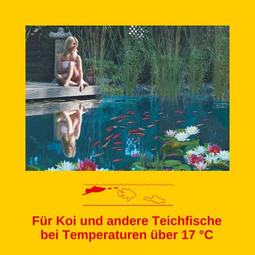  Sera 7018 KOI Professional Summer 15.4 Lb 7 Kg Pet Food, One Size