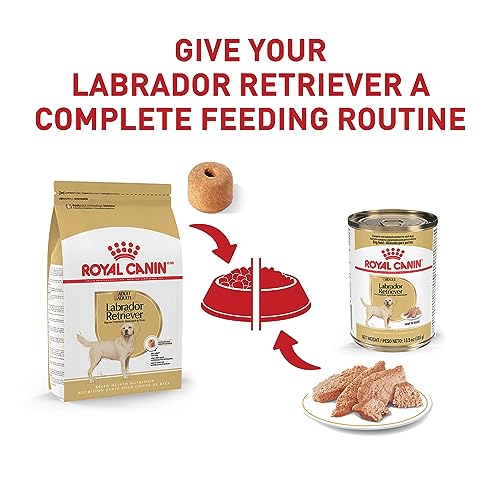  Royal Canin Labrador Retriever Adult Dry Dog Food, 30 Lb Bag