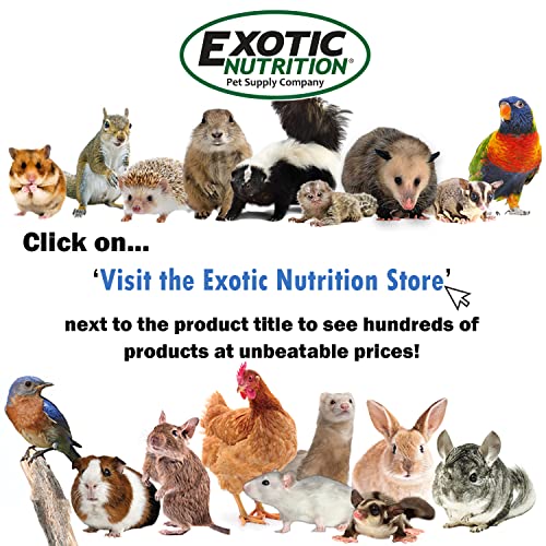  Exotic Nutrition Bee-Tastic - Healthy All-Natural Chicken Treat - Dried Insects, Flowers, Herbs Wheat Berries & Bee Pollen - Promotes Healthy Chickens & Eggs (1.5 Lbs)