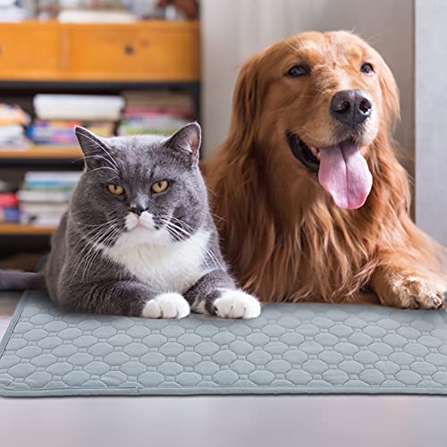  SONGBIRDTH 2Pcs Dog Training Pads Washable Waterproof Dog Pad, Reusable Travel Mats With Anti-Slip Bottom For Puppies Cats Rabbits Khaki M