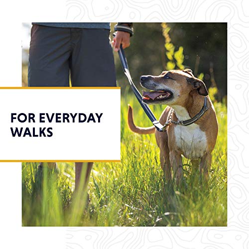  Ruffwear, Chain Reaction Dog Collar, Martingale Style For On-Leash Walking, Sunset, 14"-20"