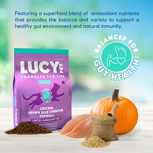  Lucy Pet Products Pet Chicken, Brown Rice & Pumpkin, LID Cat Food 4lb
