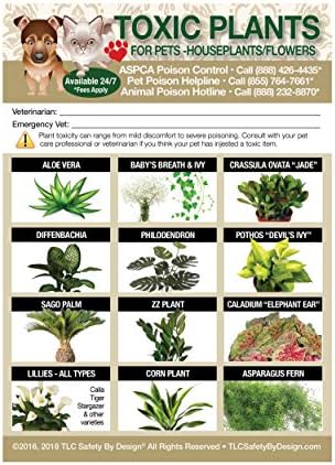 TLC Safety By Design Enhanced Toxic Plants Flowers TRADEMARKED Poison For Pets Dogs Cats Emergency Home Alone 5” X 7” Veterinarian Approved Refrigerator Safety Magnet (Qty. 1)
