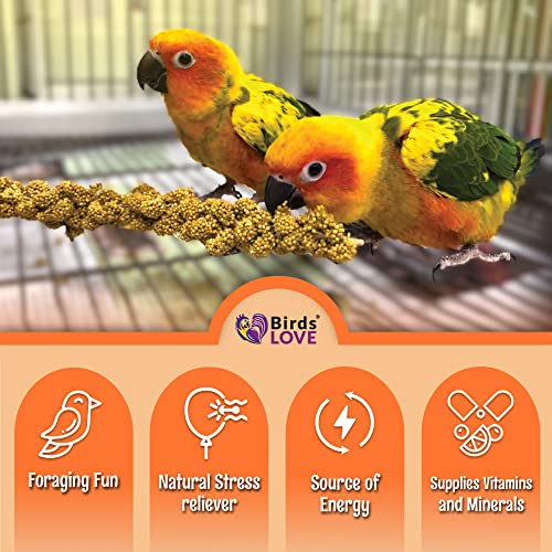  Birds LOVE Wholesome & Lovely Spray Millet Non-GMO No Pesticide (No Stems Only Edible Tops) For Parrots Birds Cockatiel Lovebird Keets Finch Canary All Parrots Healthy Treat-5lbs…