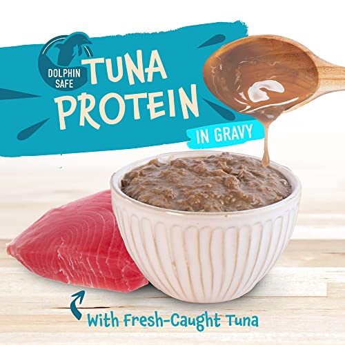  Earthborn Holistic Riptide Zing With Tuna & Gravy Grain-Free Wet Cat Food Pouches, Case Of 24