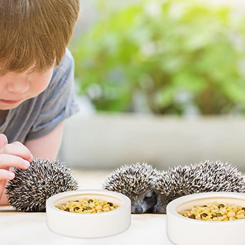  Balacoo Rabbit Food Hamster Water Dispenser Food Feeder, 3pcs Drinking Water Feeder Set, Ceramics Small Pets Feeders Squirrel Food