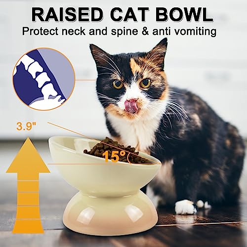  Ceramic Raised Cat Bowl, 15° Tilted Elevated Cat Food Or Water Bowl For Cats And Small Dogs, Anti-Vomiting Cat Dish Stress Free Cat Feeder, Pink