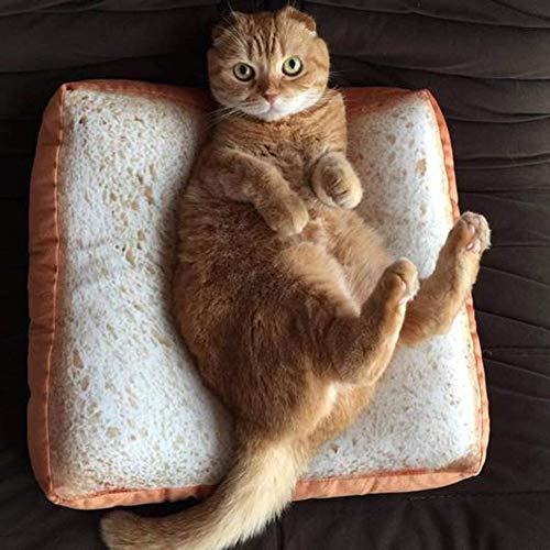 SONGBIRDTH Unique Toast Washable Cat Dog Sleeping Pad Mattress Soft Warm Pet Bed Carpet,Breathable Cotton Blend,Removable Easy To Clean 60 * 60cm