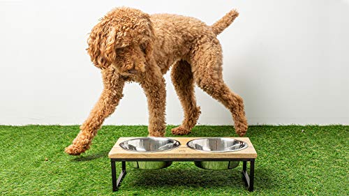  Brave Bark Wood & Metal Feeder - Premium Mango Wood Feeder With Metal Stand, 2 Stainless Steel Bowls For Food Or Water Included, Perfect For Dogs,Cats And Pets Of Any Size, For Home Or Office (Medium)