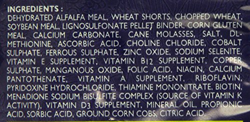  Hagen Guinea Pig Pellets Food, 5-Pound