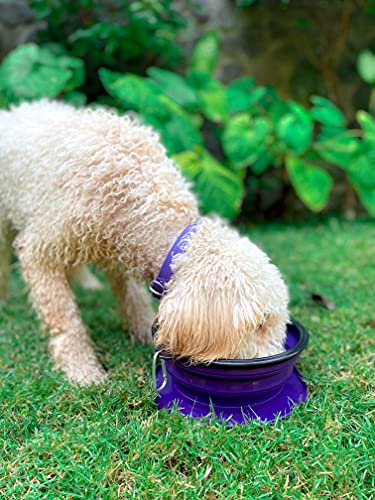  Tuff Pupper SuperBigSlurp - Collapsible Dog Bowls | Convenient Dog Travel Bowls W/Storage Lid | Keeps Pups Hydrated And Full | Portable Dog Water Bowls & Large Travel Bowls For Pets | Patent Pending