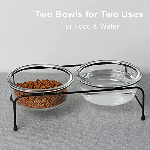  GDCZ Glass Raised Cat Or Small Dog Bowls With Heighten Metal Stand And Non-Slip Bottom For Pet Food And Water Dishes,18 Ounces Transparent