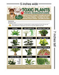  TLC Safety By Design Enhanced Toxic Plants Flowers TRADEMARKED Poison For Pets Dogs Cats Emergency Home Alone 5” X 7” Veterinarian Approved Refrigerator Safety Magnet (Qty. 1)