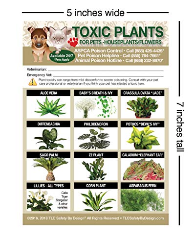  TLC Safety By Design Enhanced Toxic Plants Flowers TRADEMARKED Poison For Pets Dogs Cats Emergency Home Alone 5” X 7” Veterinarian Approved Refrigerator Safety Magnet (Qty. 1)