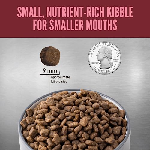  ORIJEN Small Breed Dry Dog Food, Grain Free Dry Dog Food For Small Breeds, Fresh Or Raw Ingredients, 4lb