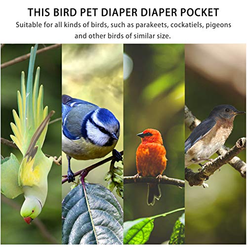  Mipcase Bird Diaper Conure Conure Flight Suit Birds Diaper Flight Cockatiel Flight Suit Parrot Flight Suit Bird Flying Harness Suit With Leash Pet Parrot Costume Conure Flight Suit