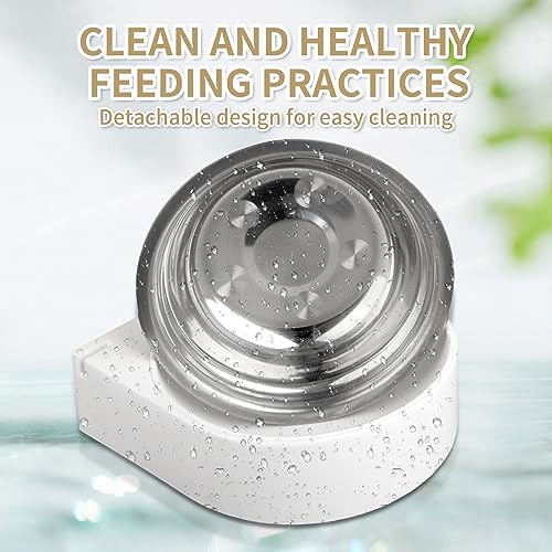  LZHPET Automatic Cat Feeders, 5L Timed Dry Food Dispenser, Up To 7 Meals Per Day, Unclogging Design, Desiccant Bag、Stainless Steel Bowl Included, 20-Second Voice Recording, For Cats/Small Dogs, White