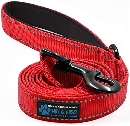  Max And Neo Reflective Nylon Dog Leash - We Donate A Leash To A Dog Rescue For Every Leash Sold (Purple, 4x1)