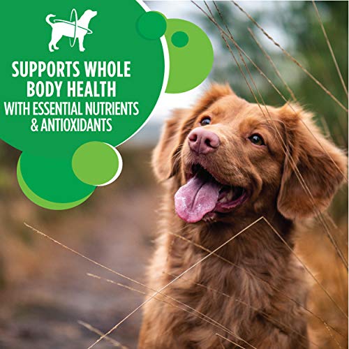  IAMS Adult Minichunks Small Kibble High Protein Dry Dog Food With Real Chicken, 40 Lb. Bag