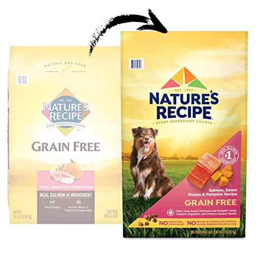  Nature′s Recipe Dry Dog Food, Grain Free Salmon, Sweet Potato & Pumpkin Recipe, 24 Lb. Bag