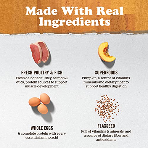  Now Fresh Grain Free Small Breed Dog Food, 3.5 Lb - Dry Puppy Food Recipe - Healthy Diet With Probiotics & Real Meat And Fish For Protein