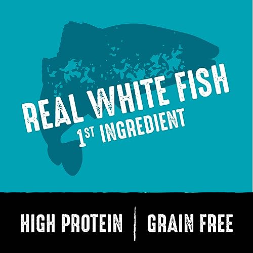  CRAVE Grain Free High Protein Adult Dry Dog Food, White Fish & Salmon, 12 Lb. Bag