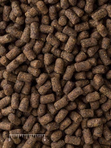  Mazuri | Nutritionally Complete Food For Ferrets| 5 Pound (5 Lb.) Bag
