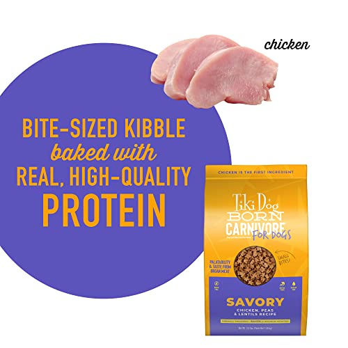  Tiki Dog Born Carnivore For Dogs, Savory Chicken, Peas & Lentils Recipe, Grain Free Baked Kibble For Maximum Nutrition, For Adult Dogs And All Size Breed Dogs, 3.5 Lbs Bag